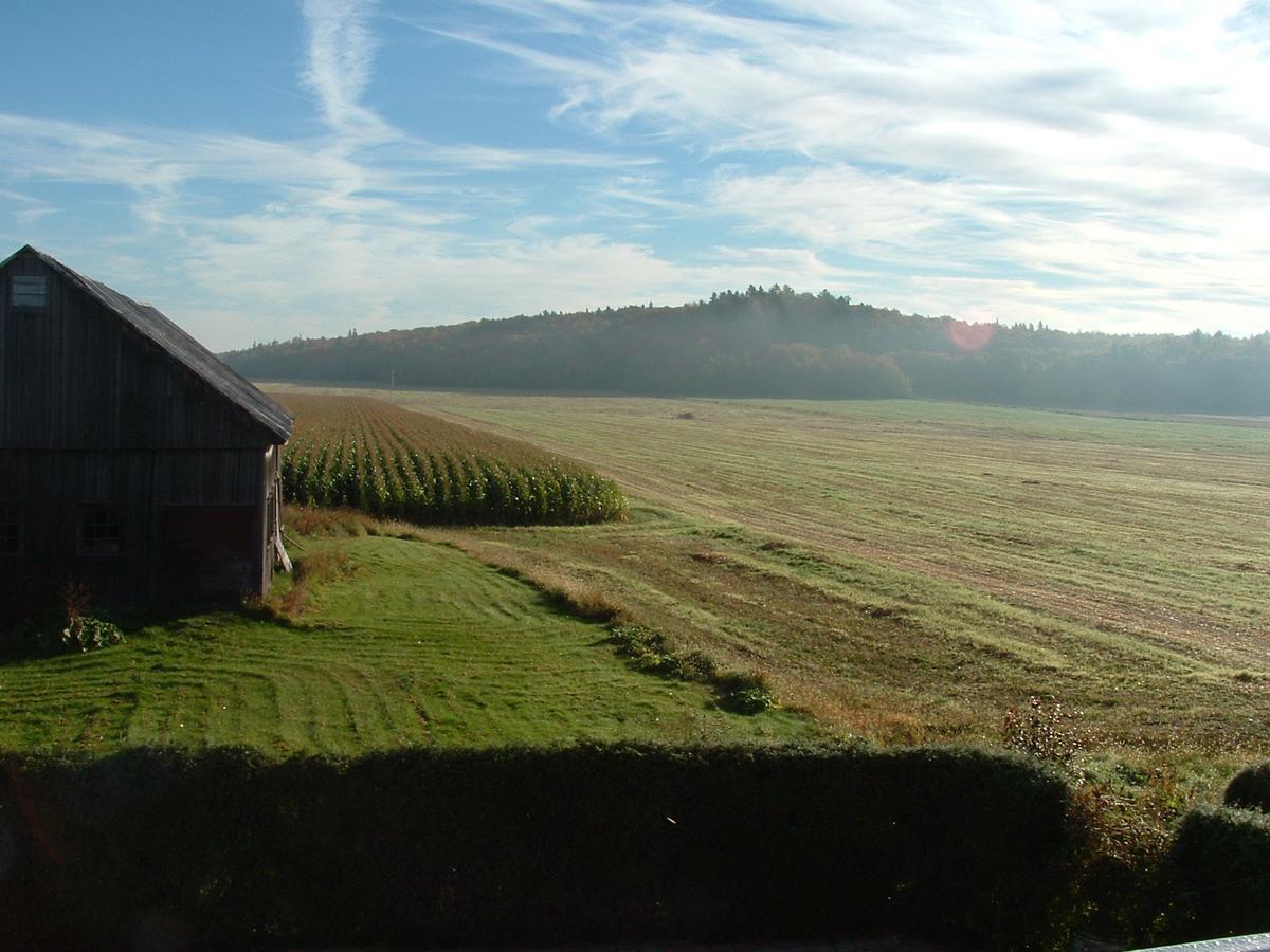 Gîte de l'Artiste Saint-Tite Extérieur photo